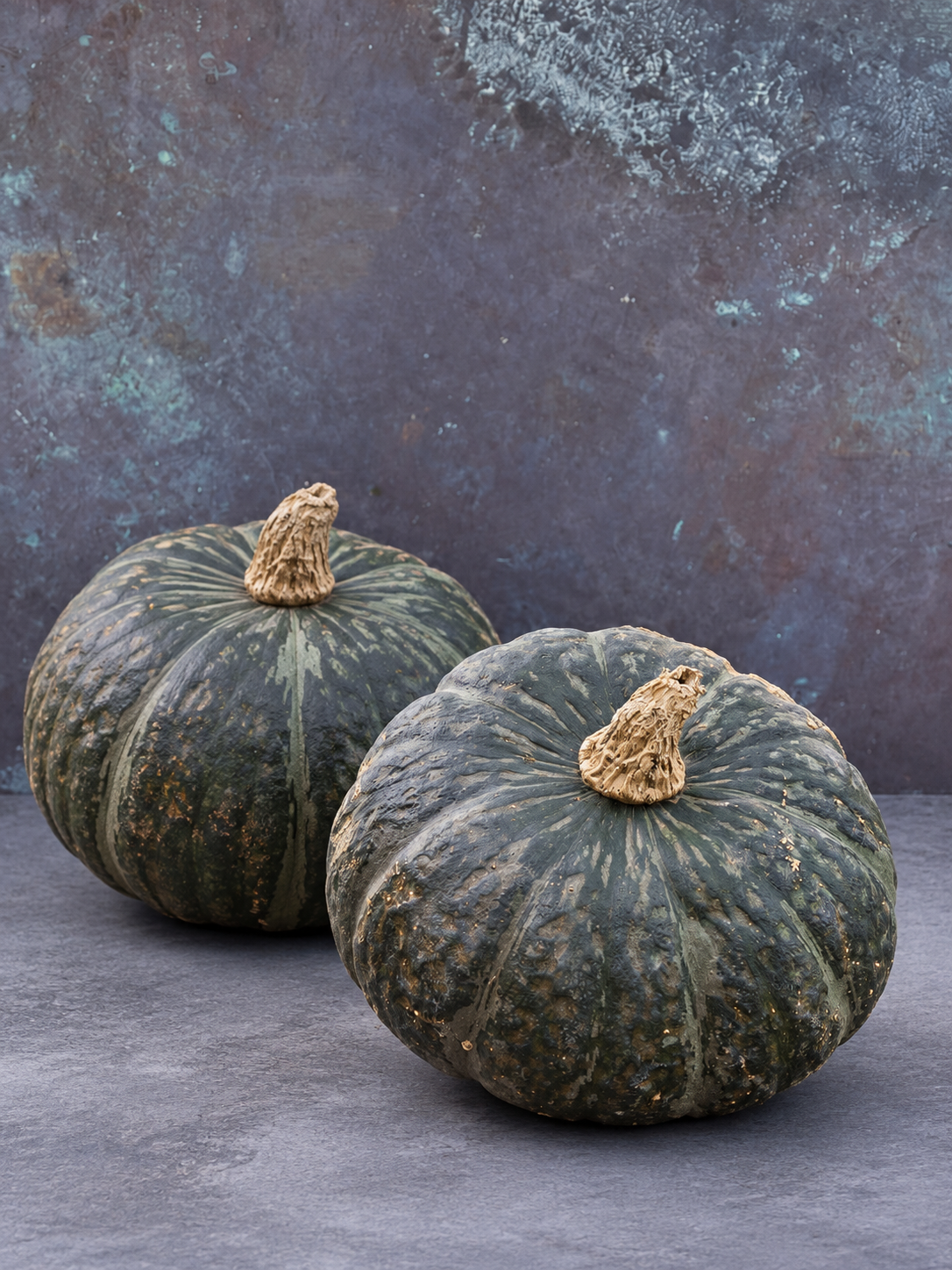 Lielaugļu ķirbis Sweet Mama F1 | Cucurbita maxima | Ziemas ķirbis