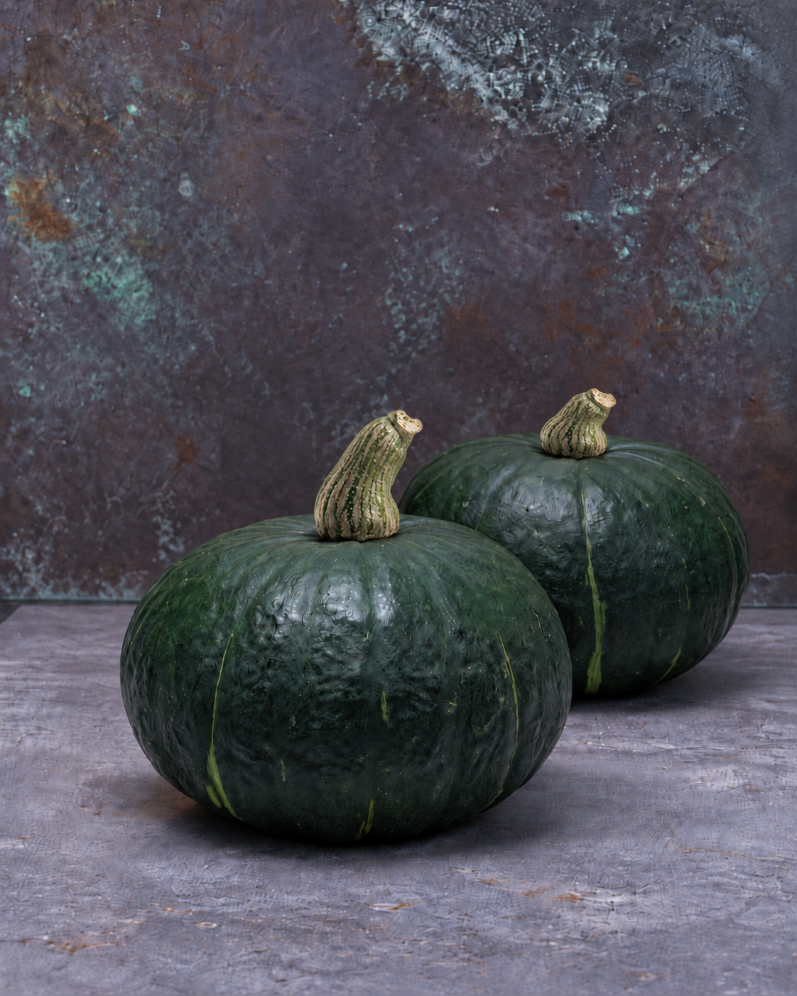 Lielaugļu ķirbis DELICA® Star F1 | Cucurbita maxima | Kabocha