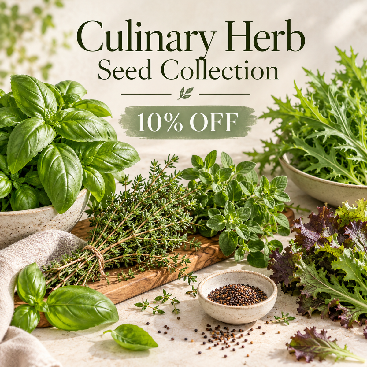 Culinary Herb Seed Collection | 15 Seed Packs | 10% OFF