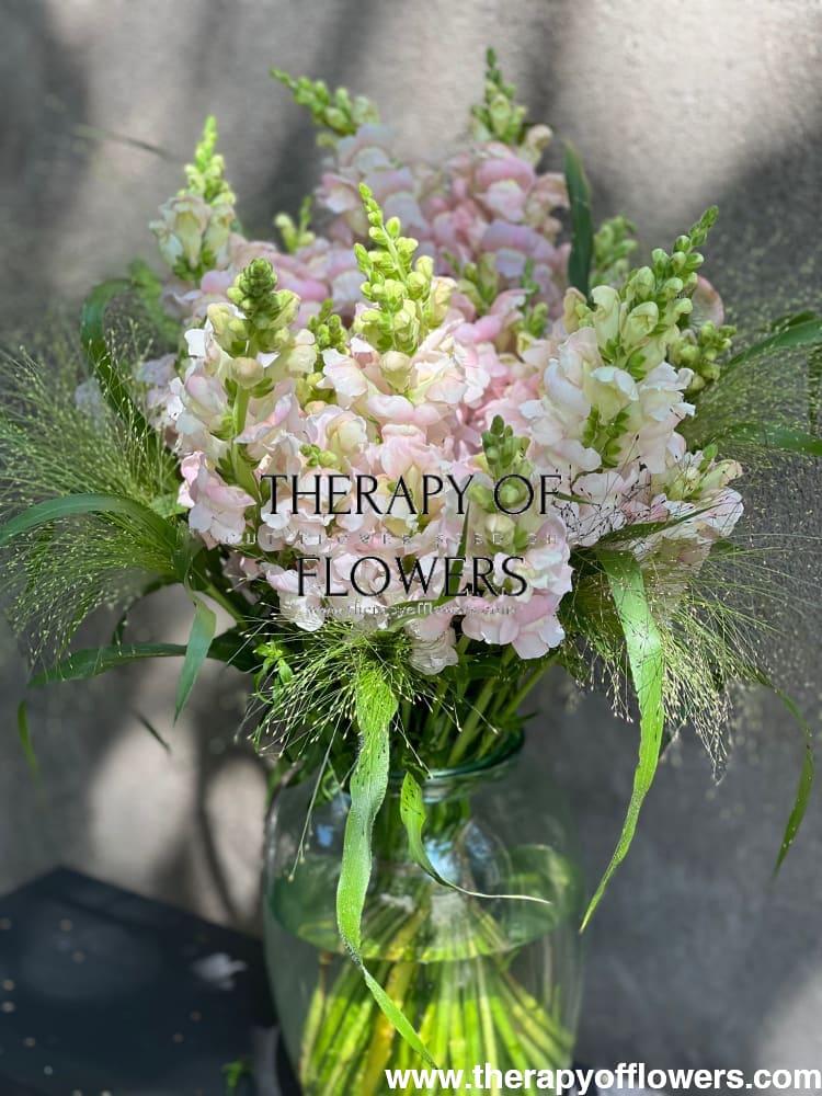 Snapdragon Costa Silver