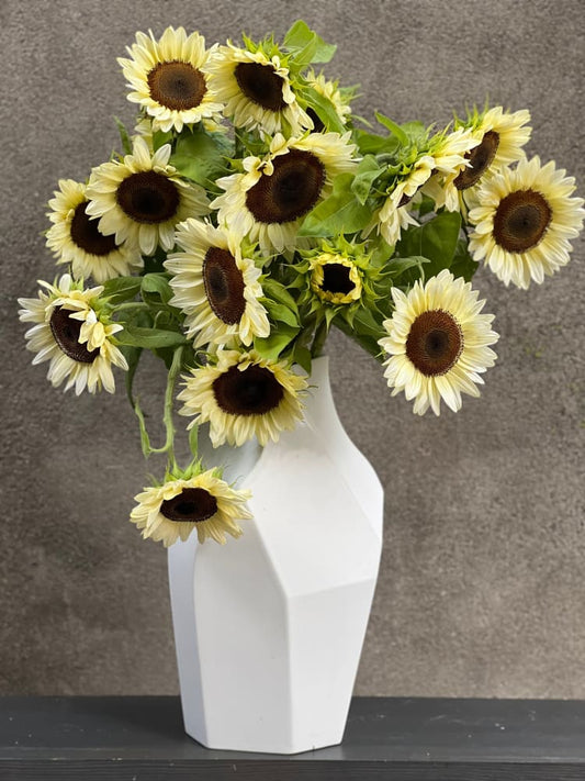 Sunflower ProCut® White Nite F1 | Helianthus annuus therapyofflowers.com