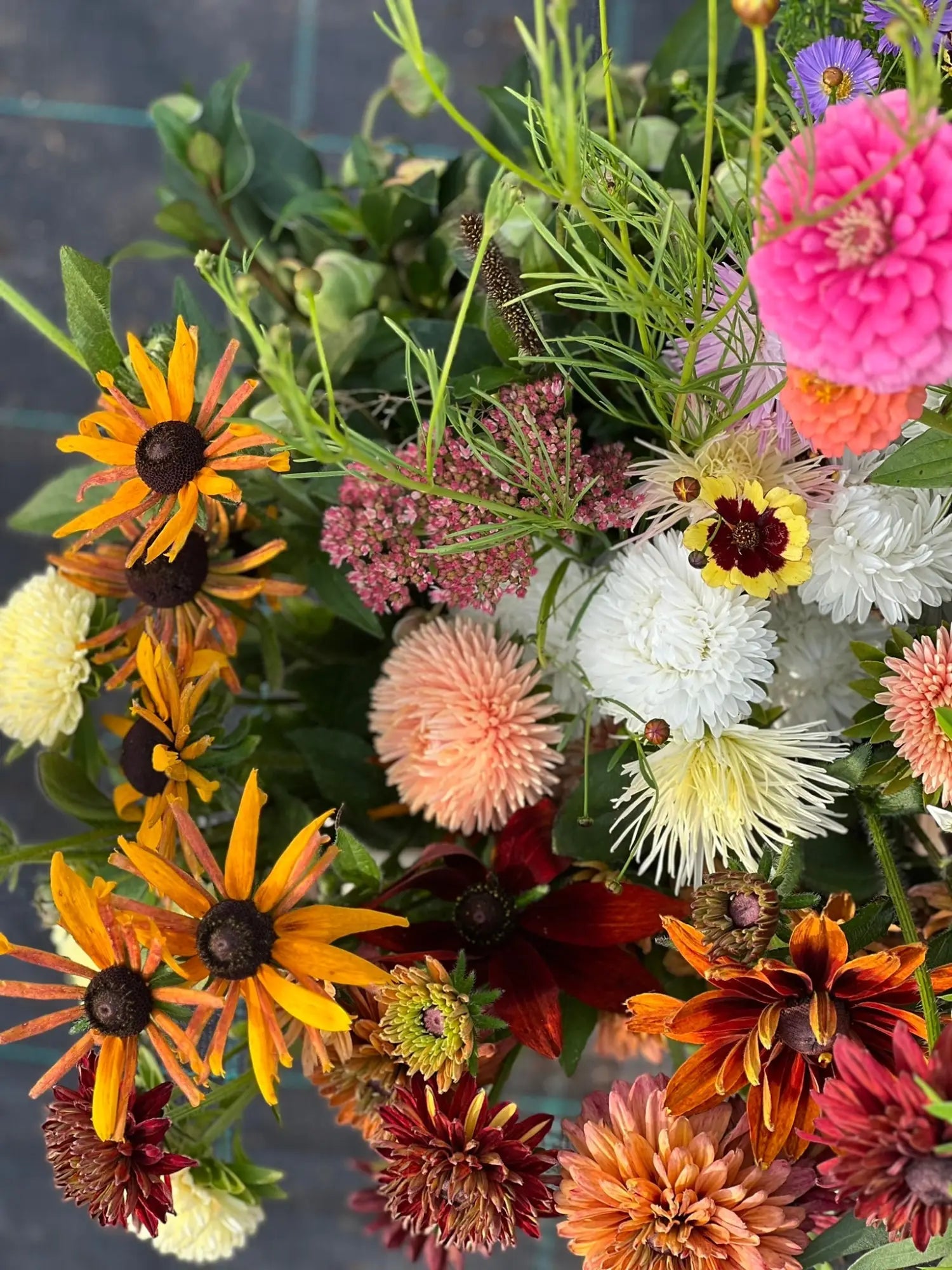 Flower Seeds Collections - therapyofflowers.com
