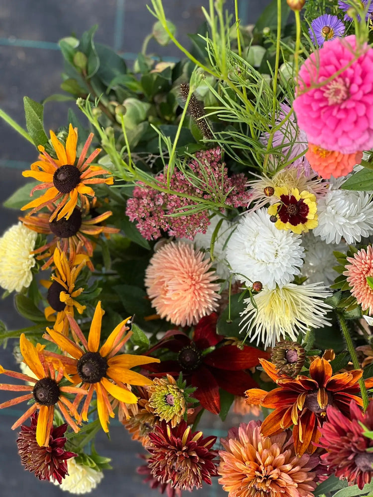 Flower Seeds Collections - therapyofflowers.com