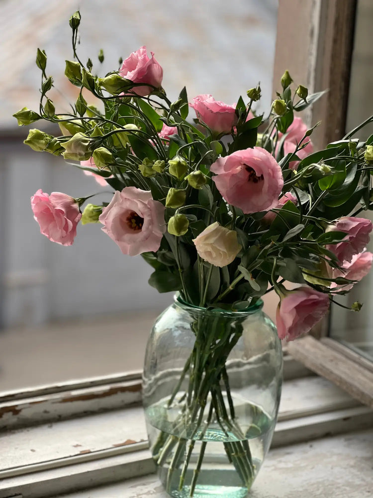 Lisianthus | Eustoma grandiflorum