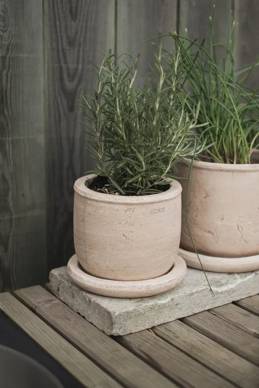 DBKD Terra Small Plant Pot | Sand | Natural Terracotta Pot DBKD