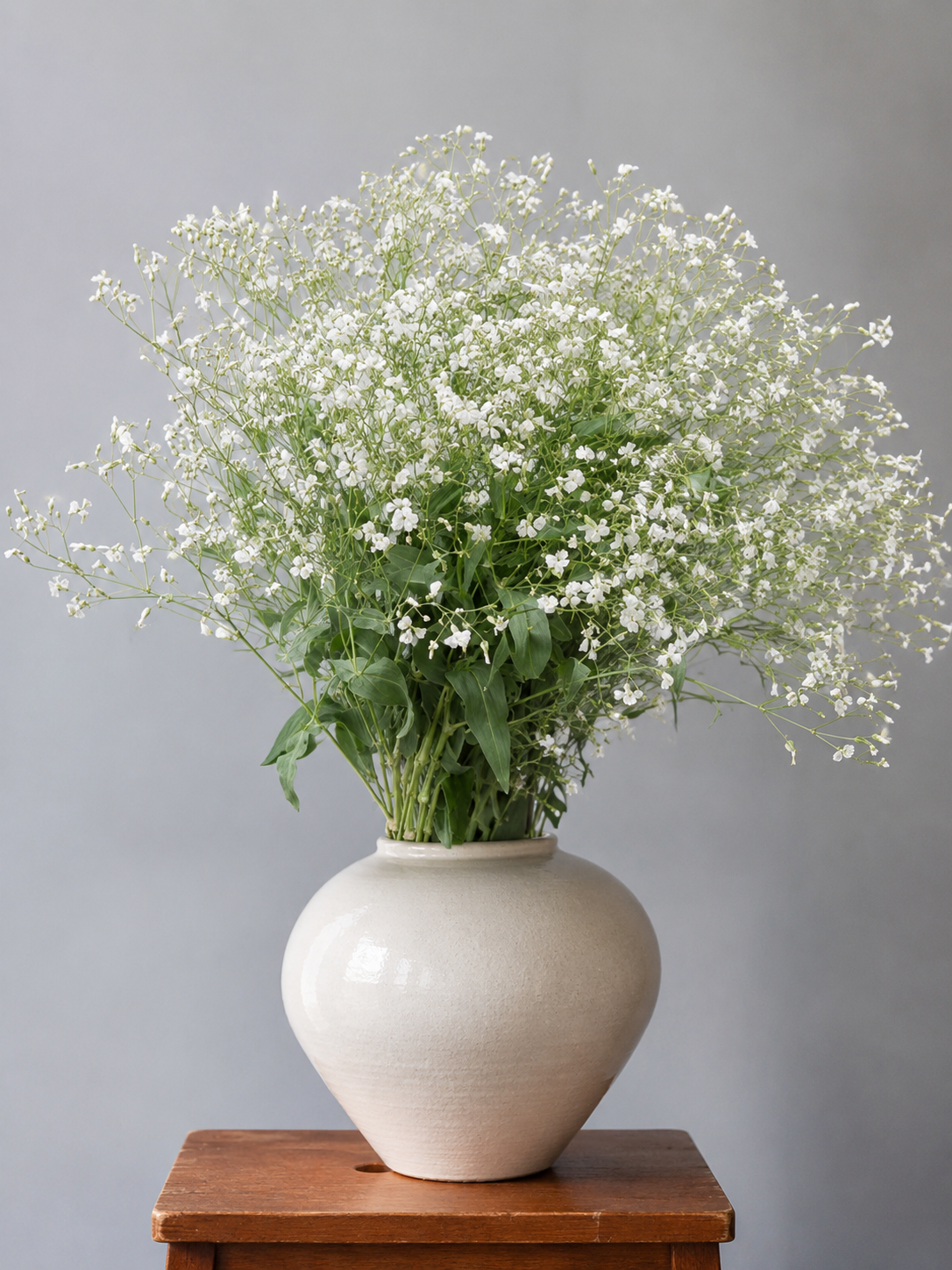 Saponaria vaccaria White Beauty | Cowcockle therapyofflowers.com