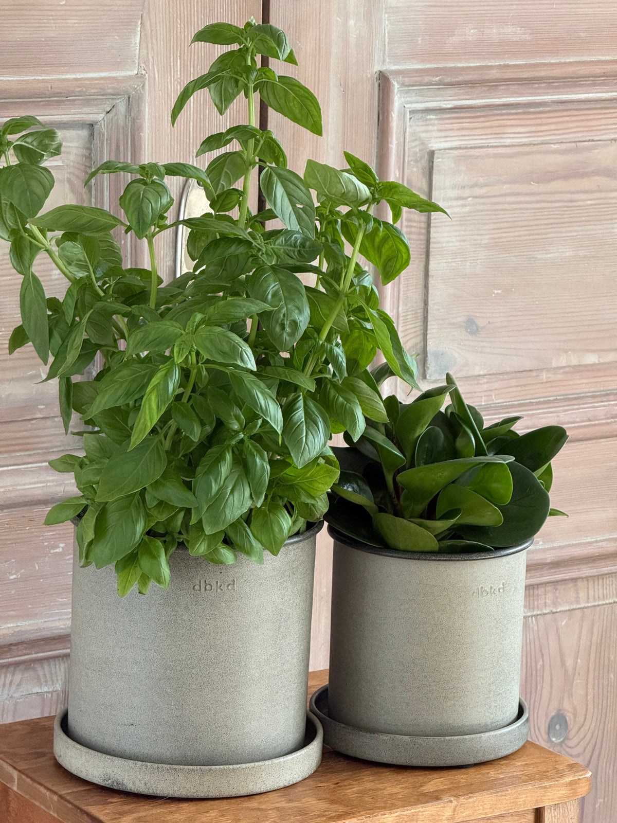 DBKD Plant Pot Small 2-Set, Beige | Scandinavian Metal Plant Pots with Matching Saucers DBKD