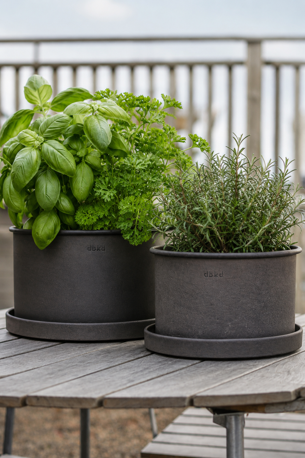 DBKD Plant Bowl Medium 2-Set – Brown