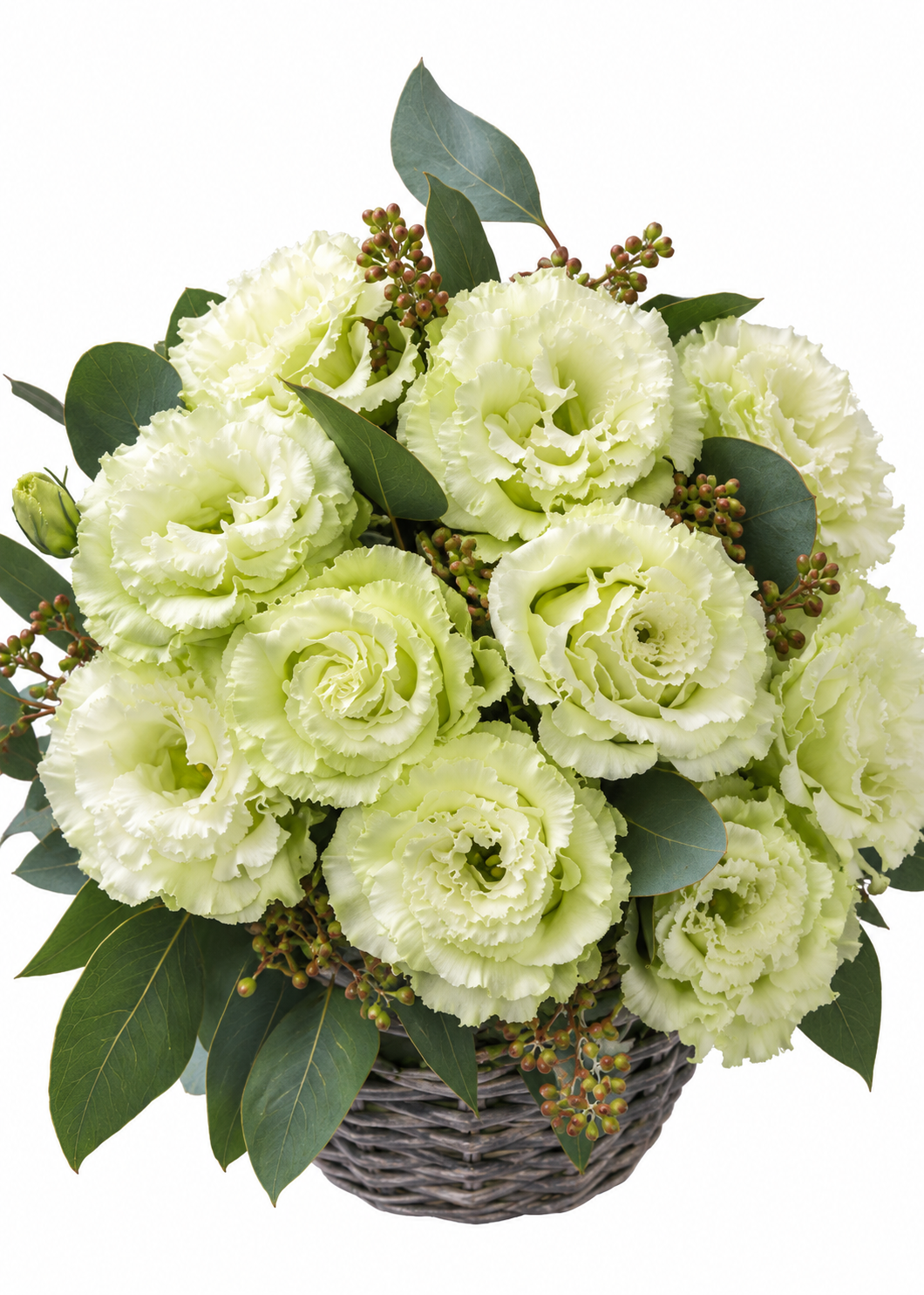 Lizante Corelli Sugoi™ Green F1 | Eustoma grandiflorum | Group 3