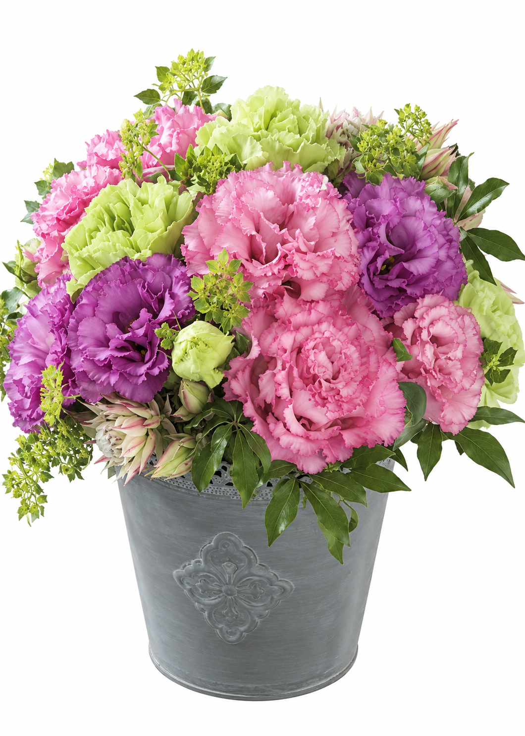 Lizante Corelli Sugoi™ Rose Pink F1 | Eustoma grandiflorum | 2. grupa