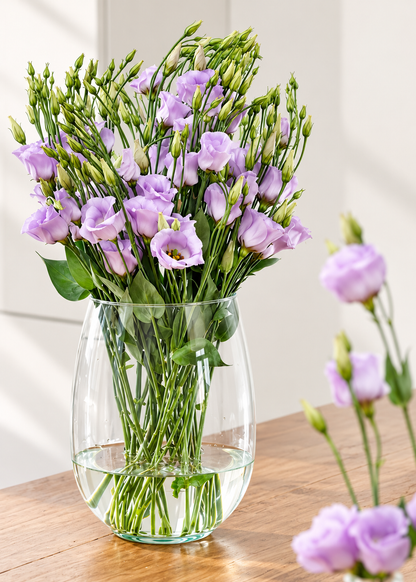 Liziante Piccolo® Lavender F1 | Eustoma grandiflorum | Group 2