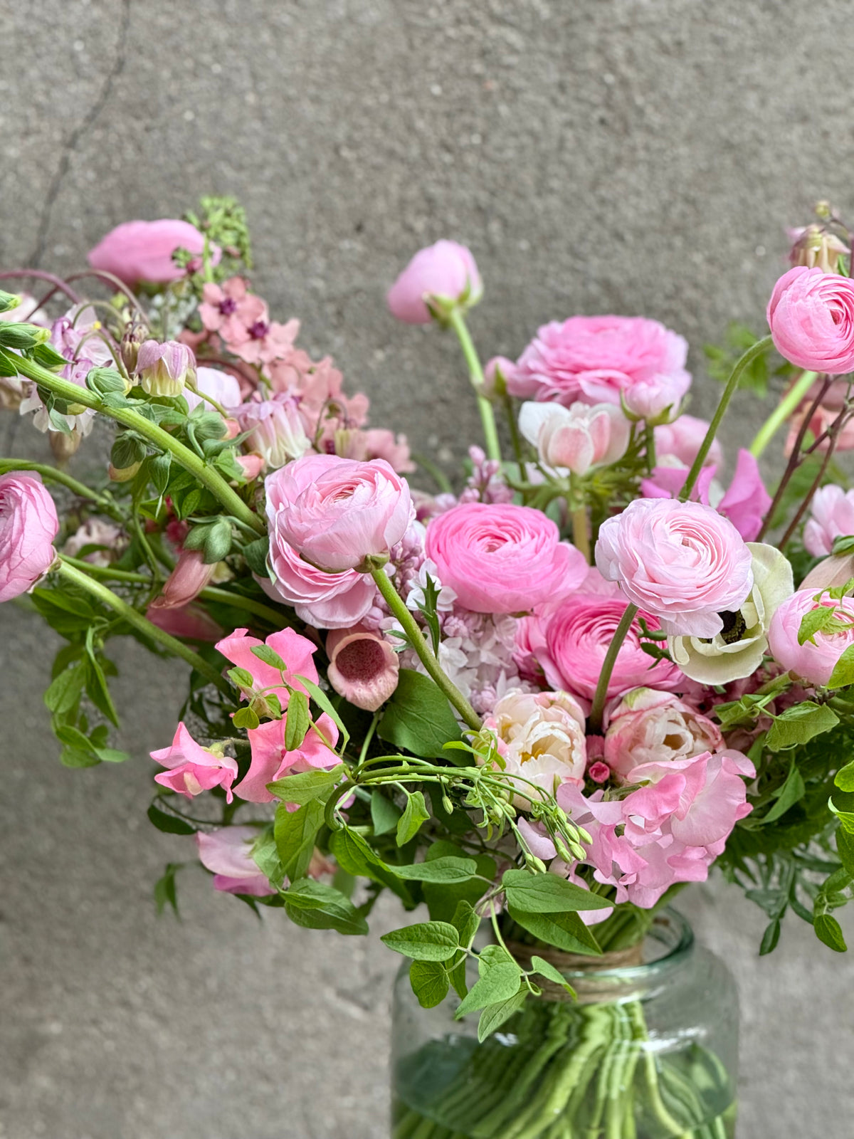 Āzijas gundega Elegance® ROSA CHIARO 2P10 | Ranunculus asiaticus | Guma izmērs 4/5