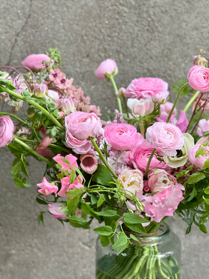 Āzijas gundega Elegance® ROSA CHIARO 2P10 | Ranunculus asiaticus | Guma izmērs 4/5