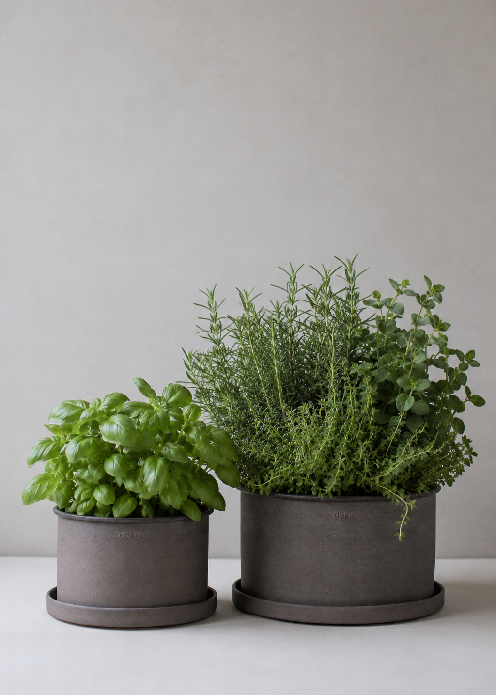 Plant pot small 2-pack