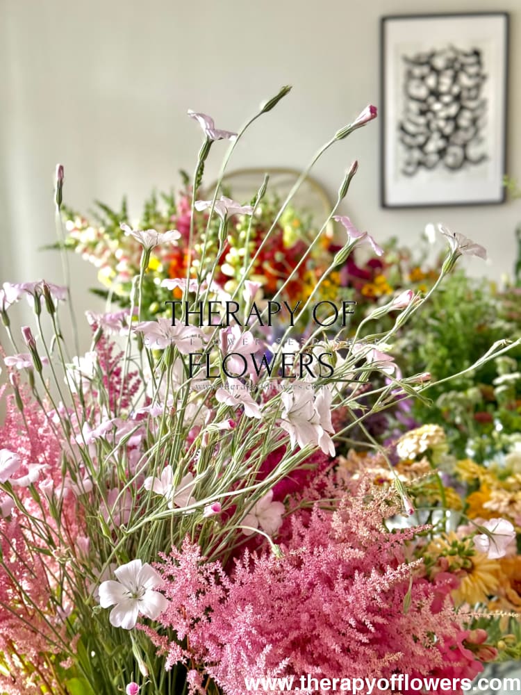 Agrostemma githago Light rose | Corn Cockle therapyofflowers.com