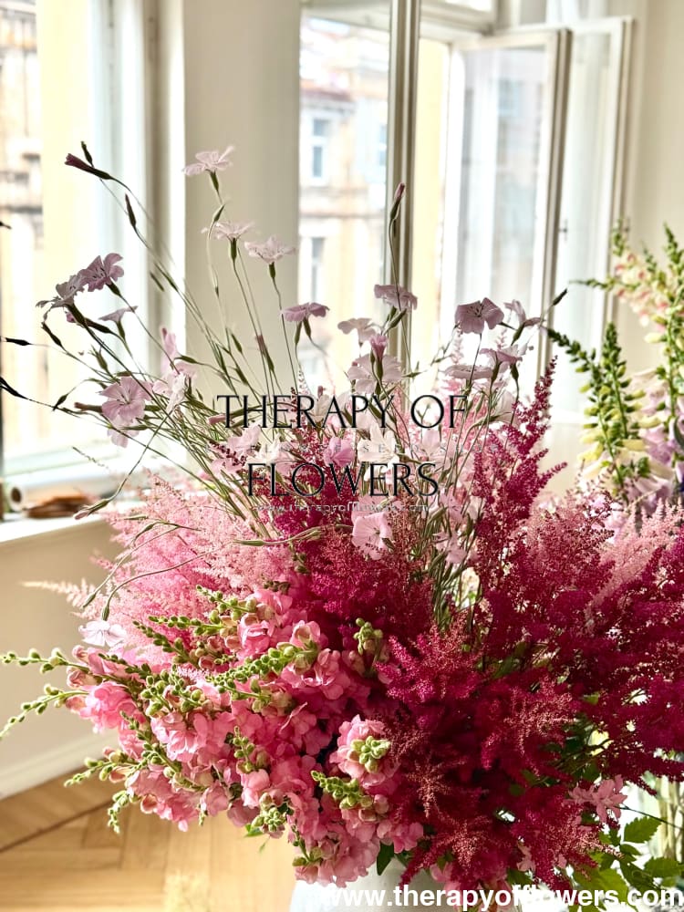 Agrostemma githago Light rose | Corn Cockle therapyofflowers.com