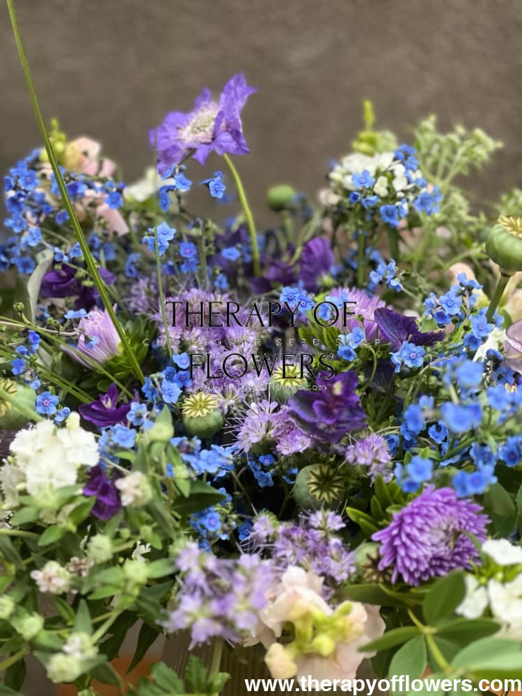 BIO Fiddleneck | Phacelia tanacetifolia therapyofflowers.com