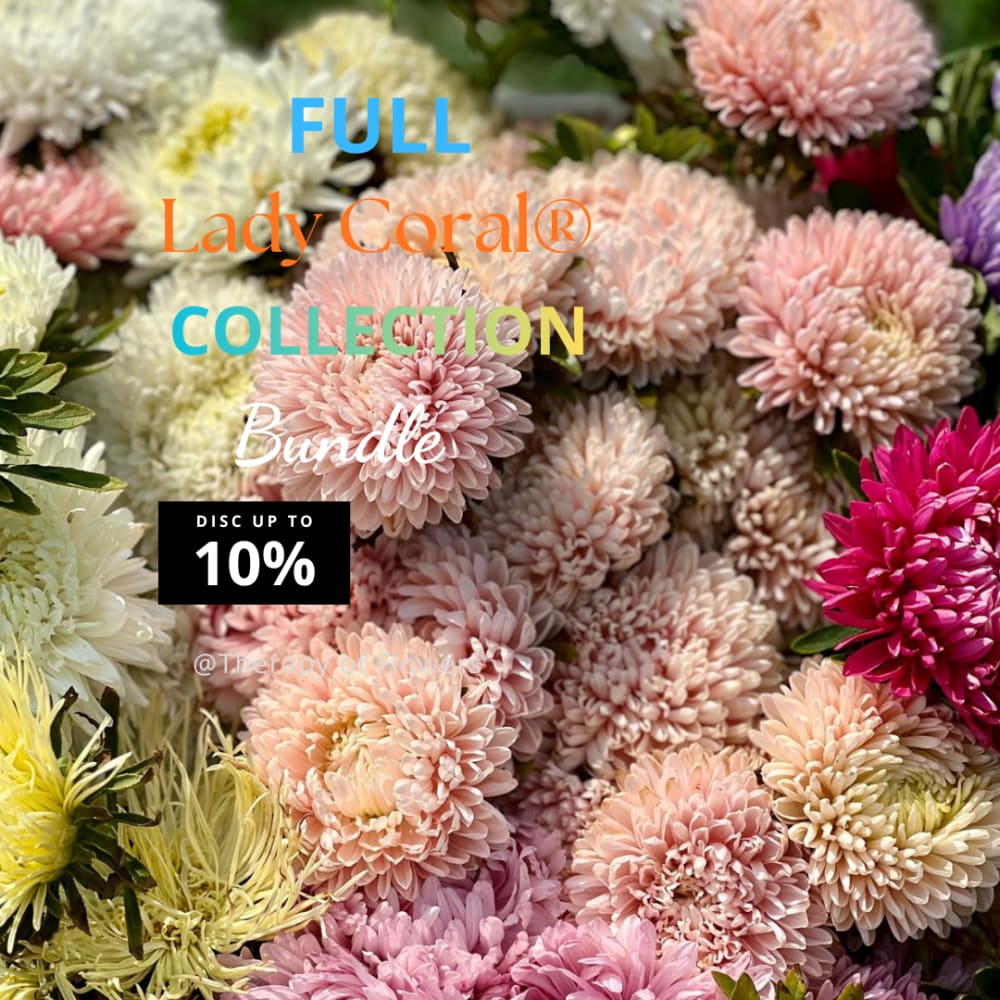 Buy the full China Aster ‘Lady Coral’ Collection – 9 Seed Packs – and Save 10% therapyofflowers.com