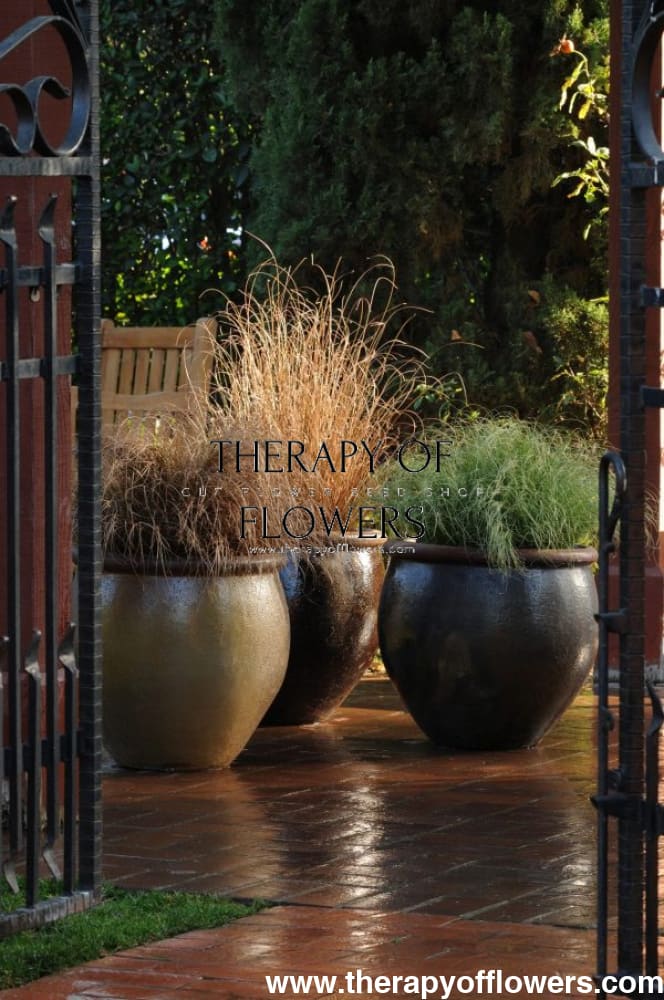 Carex comans Amazon Mist ColorGrass® | Leatherleaf Sedge therapyofflowers.com