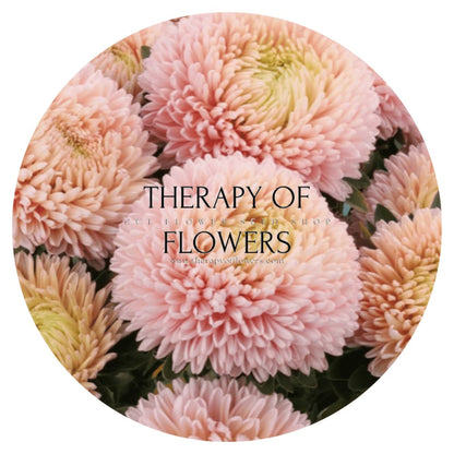 Aster Chrisantella Lotos Flower - therapyofflowers.comSeeds