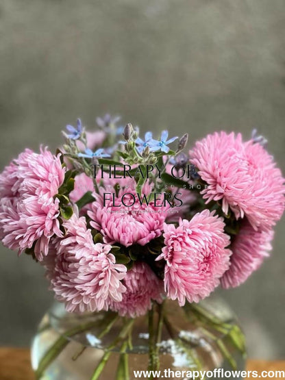 Aster Chrisantella Love Me Tender - therapyofflowers.comflowers