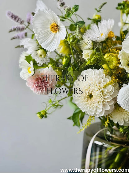 Cosmos bipinnatus Cupcakes white therapyofflowers.com