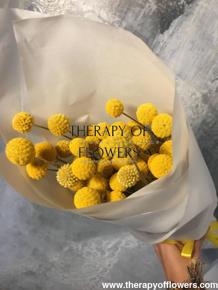 Craspedia globosa SolarPop | Billy Buttons therapyofflowers.com