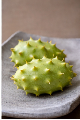 Cucumis species Deco-Fruits Mix | Ornamental Cucumbers | 8 Species therapyofflowers.com