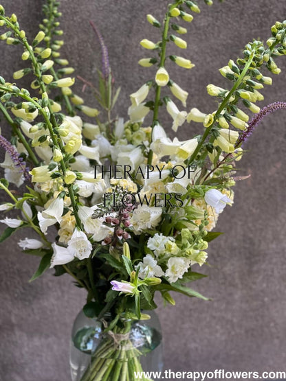 Digitalis Purpurea Camelot White F1 | Pelleted - 20 pelleted seeds / 90 cm - Seeds