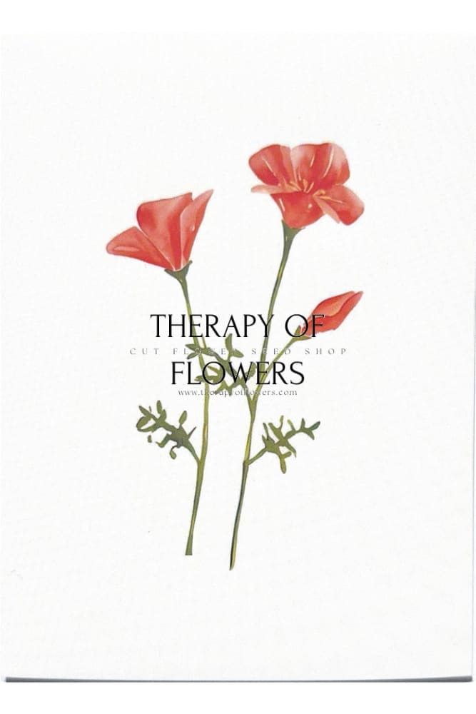 Greeting card - For Flower Lowers therapyofflowers.com