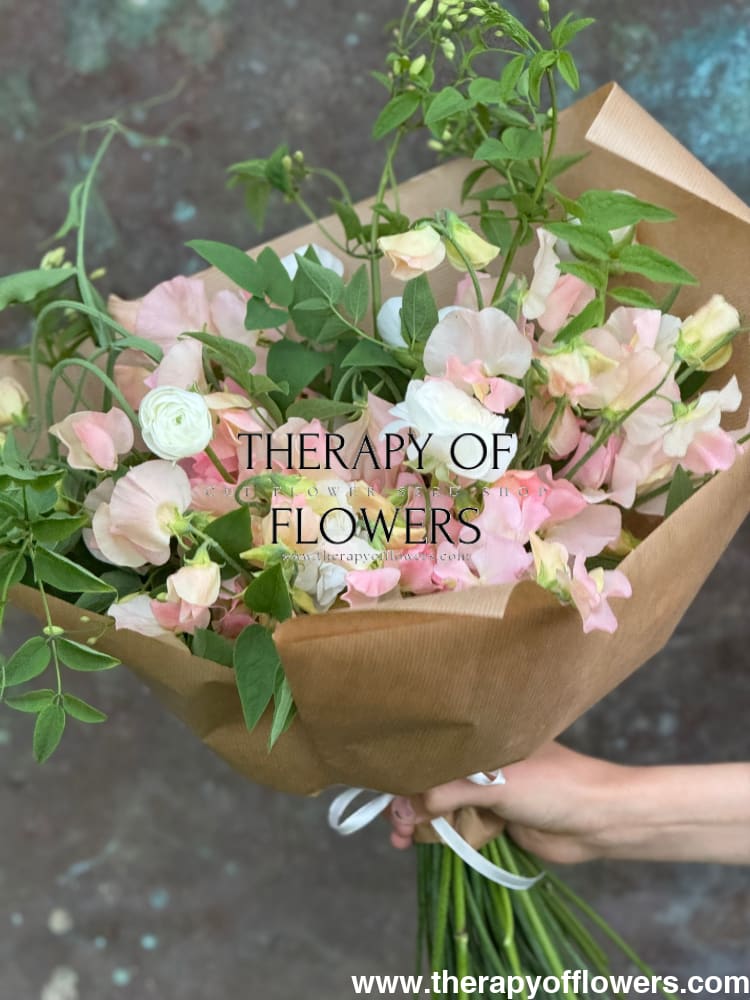 Lathyrus odoratus Spring Sunshine Champagne | Sweet Pea therapyofflowers.com