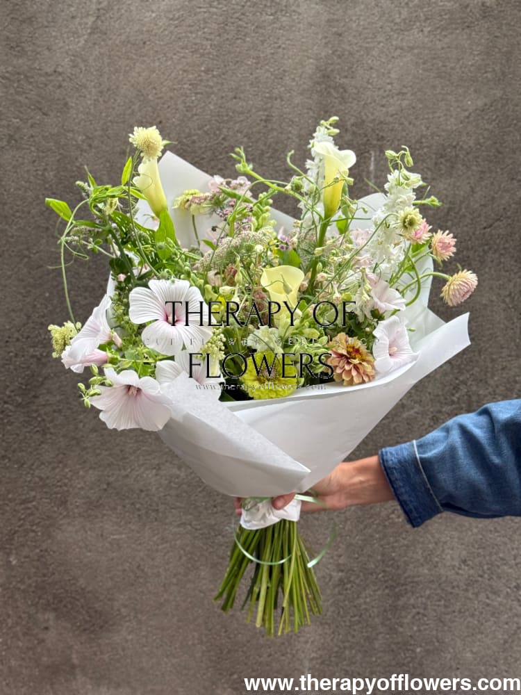 Lavatera trimestris New Dwarf Pink Blush | Annual Mallow therapyofflowers.com