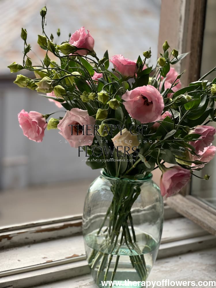 Lisianthus Arena Baby Pink III therapyofflowers.com