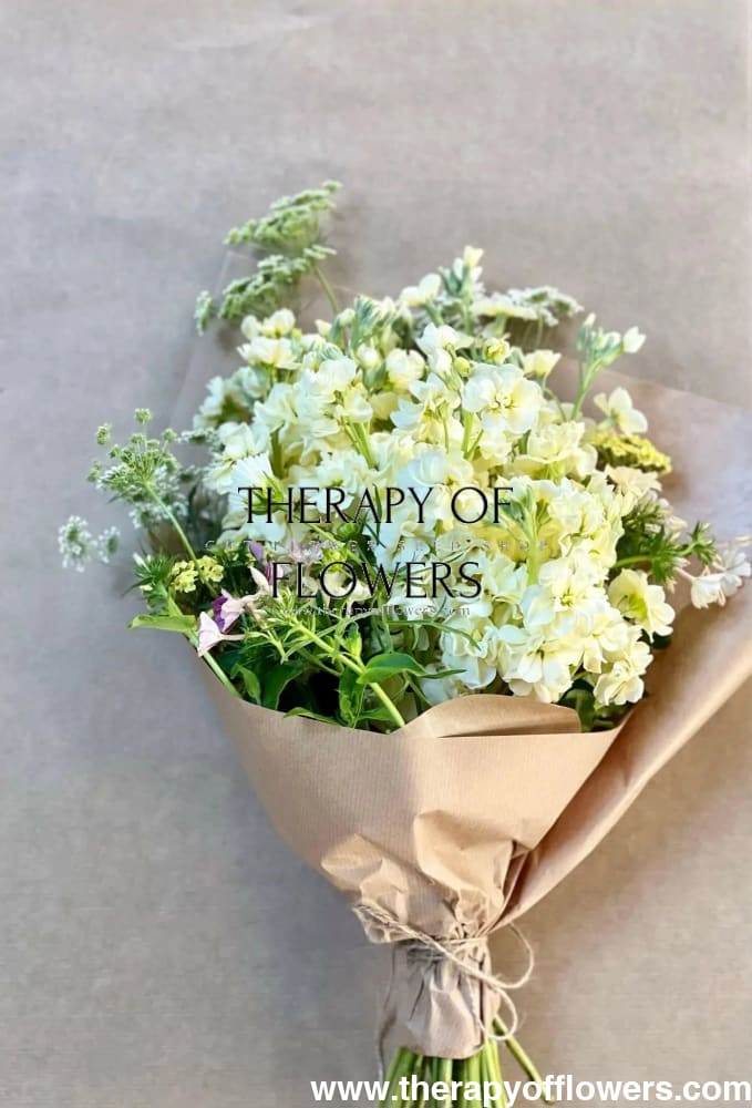 Matthiola Column Miracle Yellow.