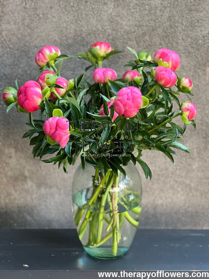 Peony bouquet | Coral Charm therapyofflowers.com