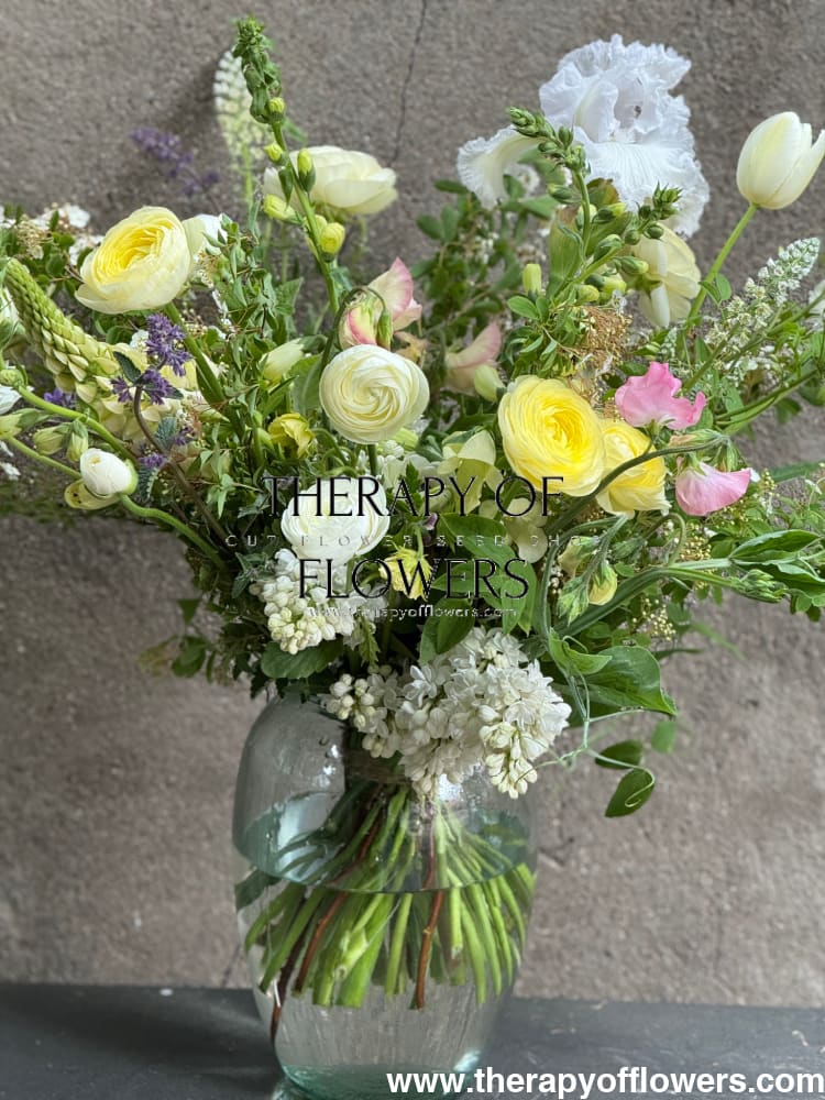 Ranunculus Elegance®  BIANCO 1 | Persian Buttercup | Corm size: 4/5 therapyofflowers.com