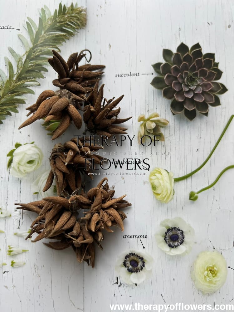 Ranunculus Elegance® NERO | Persian Buttercup - Corms
