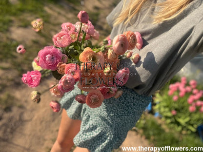 Ranunculus Elegance® PASTELLO.