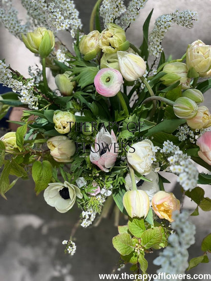 Ranunculus Elegance® ROSA CHIARO Corms