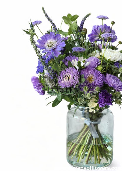 Scabiosa caucasica Fama® Blue | Pincushion Flower | Cut Flower therapyofflowers.com