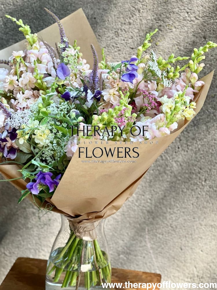 Snapdragon Costa Silver F1 | Group 2 | Antirrhinum majus therapyofflowers.com