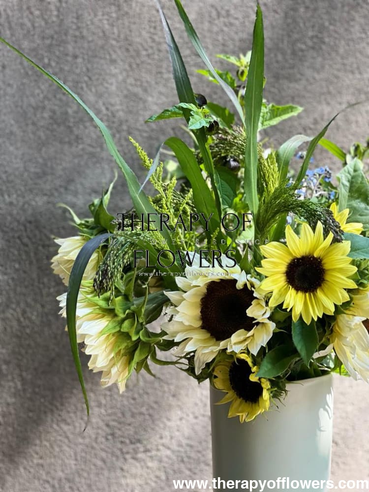 Sunflower Valentine | Helianthu annuus therapyofflowers.com