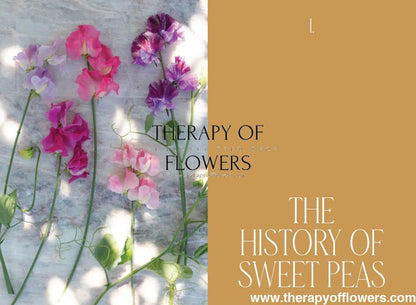 Sweet Pea School: Growing & Arranging the Garden’s Most Romantic Blooms therapyofflowers.com