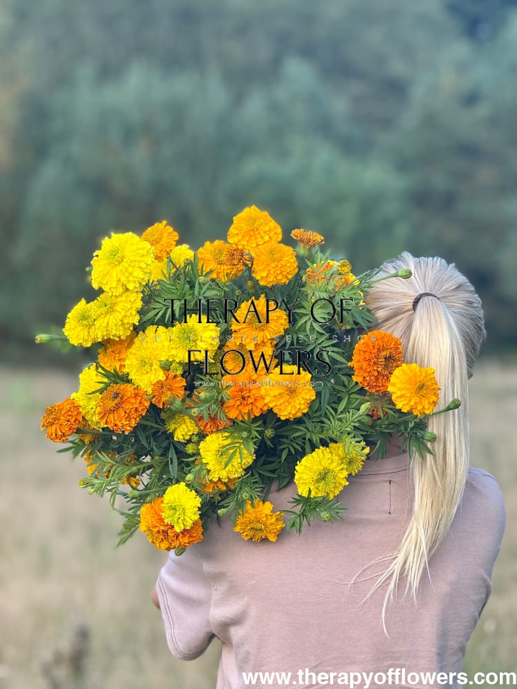 Tagetes erecta Chedi® Gold | African Marigold | Cut Flower - 20 seeds - seeds