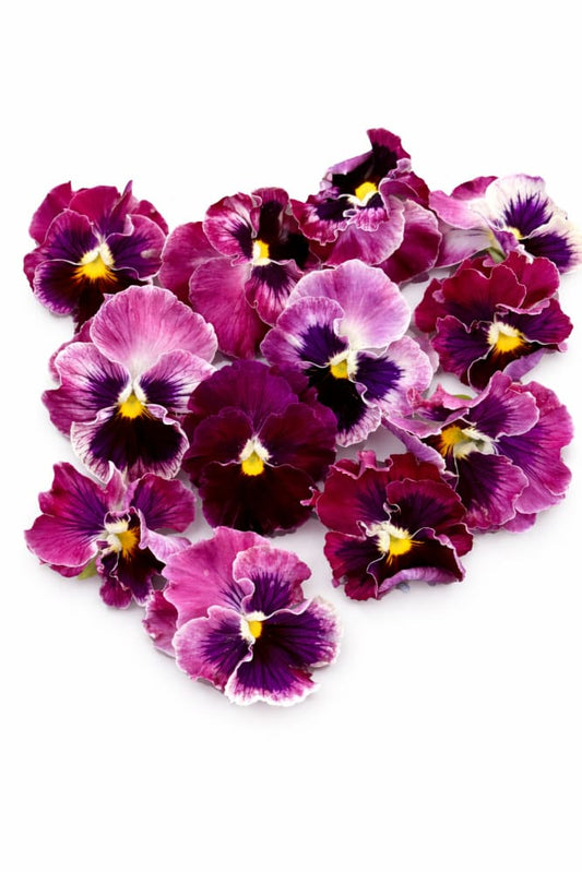 Viola x wittrockiana Flamenco Tricolor Rose F1 | Pansy - 25 seeds / 15–20 cm / Rose-pink - seeds