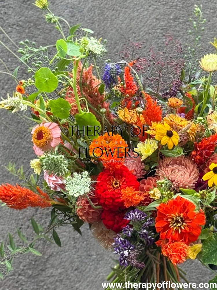 Zinnia elegans Benary's Giant Orange therapyofflowers.com