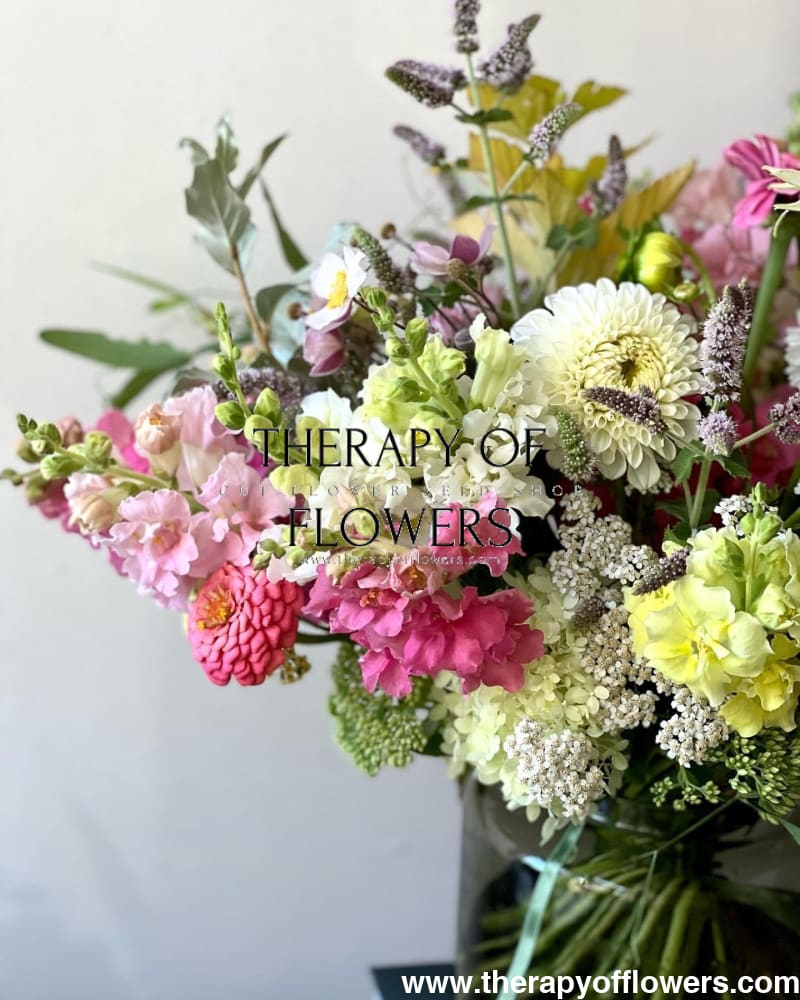 Zinnia elegans OKLAHOMA pink therapyofflowers.com